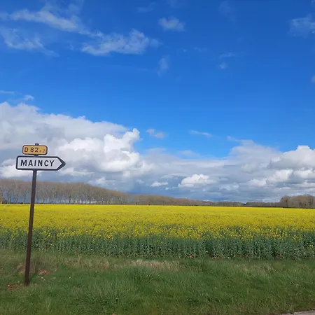 Près Du Vicomte * Maincy